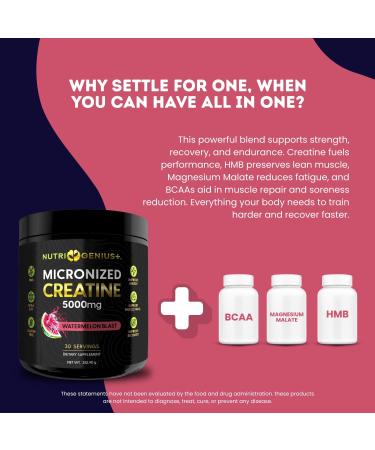 Creatine Monohydrate 5g with BCAAs Support Muscles Cellular Energy and Cognitive Function* Watermelon Micronized Powder 30 Servings Keto Friendly - Gluten-Free - Buy Online on GoSupps.com