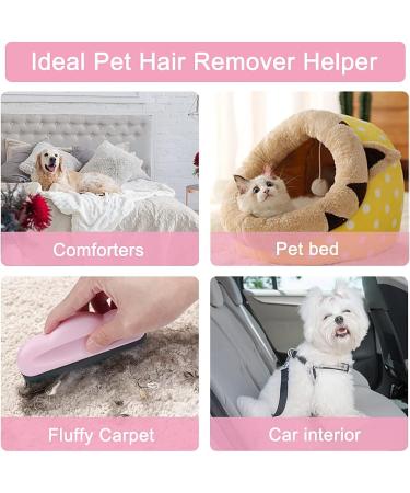 JCF Pet Hair Remover Brush 2PCS - Soft Rubber Comb for Cat Dog Hair Removal on Carpet, Furniture, Laundry - Blue Pink - Buy Online on GoSupps.com