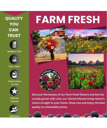 Miracle Jewelweed Salve | Natural Relief for Poison Ivy Oak Sumac & Insect Bites | Fast-Acting Itch Soother | Ideal for Outdoor Lovers | 1 oz - Buy Online on GoSupps.com