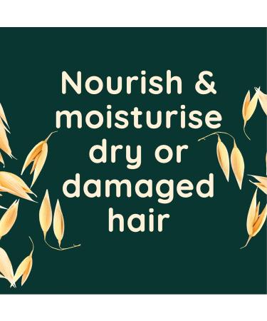 Aveeno Hydrating Oat Milk Scalp Soothing Conditioner - 300ml (Pack of 1) - Buy Online on GoSupps.com