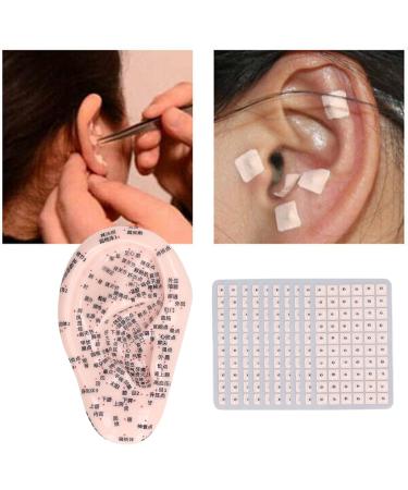 17 cm Ear Acupuncture Model | Auricle Point Silicone Model with Telescopic Probe & Tweezers for Accurate Acupuncture Therapy - Buy Online on GoSupps.com