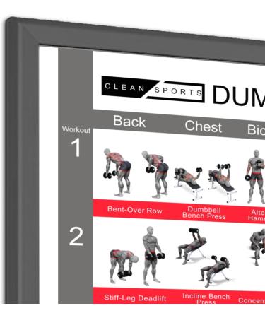 Clean Sports Kurzbang Workout Poster A1 | 6 Full-Body Dumbbell Workouts for Home & Gym Fitness Studio - Buy Online on GoSupps.com
