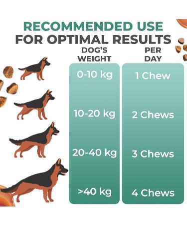 K9 Laboratories Mega Multivitamin for Dogs - 60 Count - Convenient Snack Form - Supports Muscles Joints Immune System Digestion Skin & Coat - Buy Online on GoSupps.com