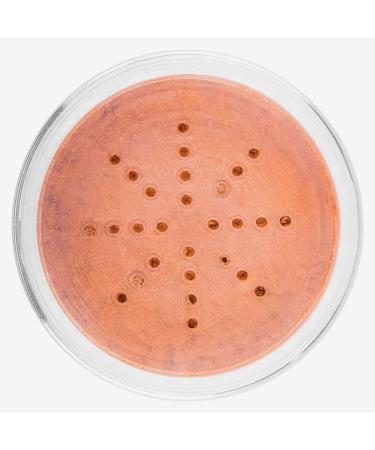 SHANY Mineral Bronzer - Paraben & Talc Free - Natural Glow | Buy Online - Buy Online on GoSupps.com