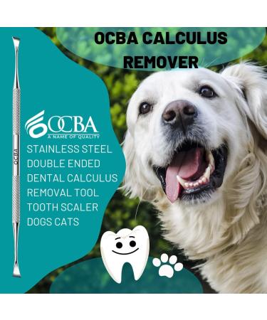 Double Headed Tarter Scraper & Tooth Scaler for Dogs & Cats - Stainless Steel Dental Tool for Pet Teeth Cleaning - Buy Online on GoSupps.com