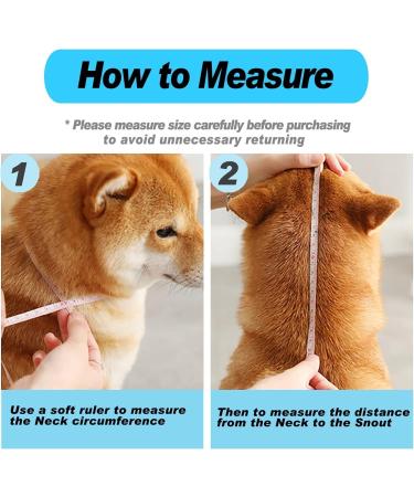 Buy Super Protective Collar for Cats & Small Dogs - Plastic Neck Collar M (11.8 - 13.5) - International Shipping Available - Buy Online on GoSupps.com