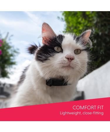 UBEE CAT GPS Tracker for cats Lightest UK tracker (23g) Unlimited Range Free & Shareable App UK Support - Buy Online on GoSupps.com