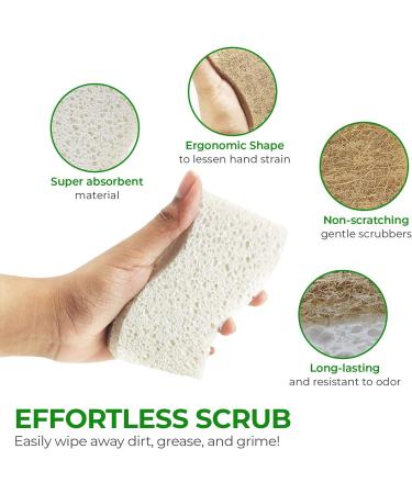 AIRNEX Biodegradable Natural Kitchen Sponge - Pack of 12 Eco Friendly Compostable Sponges for Dishes - Buy Online on GoSupps.com