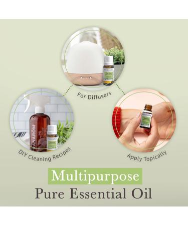 Pranarom USDA Certified Organic Tea Tree Essential Oil (15ml) 100% Pure Undiluted Therapeutic Grade from Zimbabwe for Aromatherapy Diffuser Healthy Skin & Hair Massage Relaxation 0.5 Fl Oz (Pack of 1) - Buy Online on GoSupps.com
