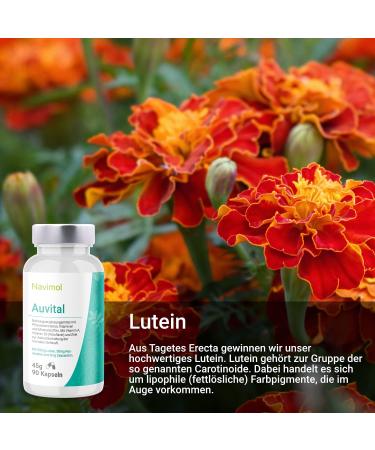 Auvital Dietary Supplements - 90 Capsules with Vitamin A B2 Zinc Lutein Resveratrol & Zeaxanthin for Healthy Eyesight - International Shipping Available - Buy Online on GoSupps.com