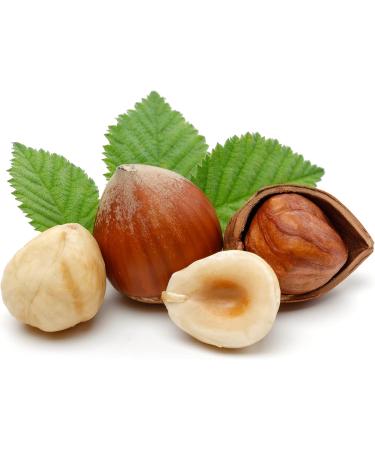 Hazelnut Oil 128 oz - 100% Pure Natural Cold Pressed Extra Virgin | Moisturizing Hair Skin Beard & Body Oil | Unrefined 1 Gallon for Nourishing Hydration - Buy Online on GoSupps.com
