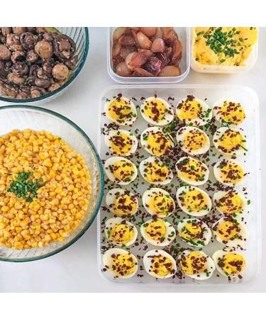 CWDRDX Egg Holder for Refrigerator Deviled Egg with Lid Fridge Egg Storage Stackable Plastic Egg Containers 24 Egg - Buy Online on GoSupps.com