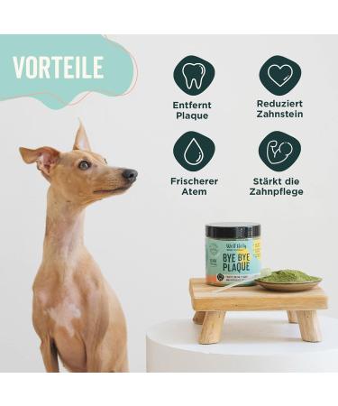 Wolf Belly Tartar Remover Dog Powder - 100% Natural Dental Care for Dogs & Cats | 180g Anti-Plaque Solution - Freshens Breath & Cleans Teeth - Buy Online on GoSupps.com