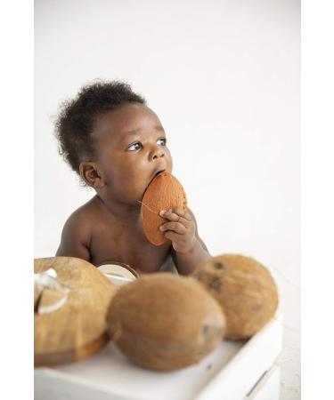 Oli & Carol Coconut Teething Ring & Bath Toy | Natural Rubber Coconut Toy for Babies - Buy Online on GoSupps.com