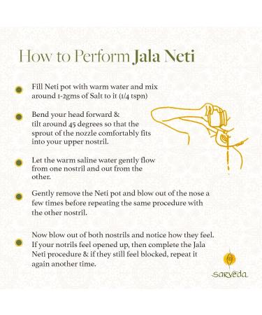 Sarveda Ayurvedic Neti Pot for Nasal Cleansing & Sinus - Handcrafted Ceramic (Blue) - 185ml - Buy Online on GoSupps.com