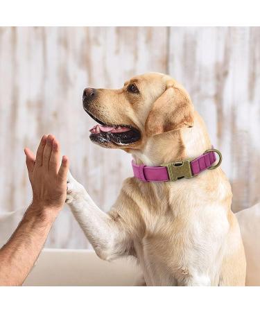 Didog Adjustable Soft Leather Dog Collar for Medium & Small Dogs - Durable & Stylish Purple Collar with Quick Lock Metal Buckle (13-21 Inch Neck) - Buy Online on GoSupps.com