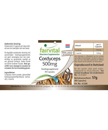 Fairvital | Cordyceps 500mg VEGAN - Highly dosed - 90 capsules - Cordyceps sinensis - caterpillar mushroom - Buy Online on GoSupps.com