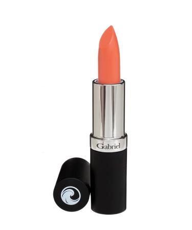 Gabriel Cosmetics Lipstick in Salmon - Medium Orange/Warm Cr me | Natural Paraben-Free Vegan Lip Color | Infused with Jojoba Seed Oil and Aloe | Long-Lasting | 0.13 Oz - Buy Online on GoSupps.com