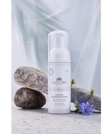 Clochee - Agodna Pianka do Mycia Twarzy - 150 ml - Buy Online on GoSupps.com