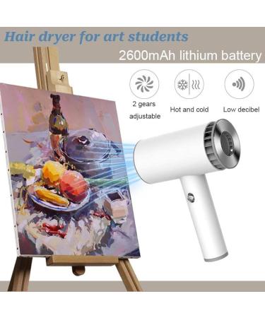 Portable Hair Dryer Rechargeable Cordless Hair Dryer with 2600mAh Lithium Battery USB Rechargeable Cordless Hair Dryer for Art/Home/Outdoor Painting OneColor Pleasant63 - Buy Online on GoSupps.com