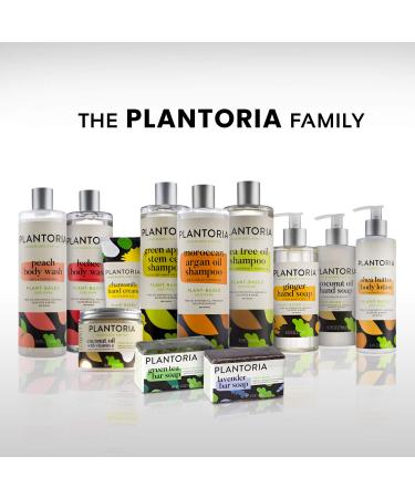 Plantoria Lychee Body Wash - Vegan Organic Anti Aging Skin Care with Deionized Water, Mango & Shea Butter - Rich in Vitamin C - Buy Online on GoSupps.com