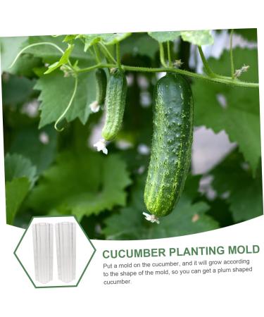 VANZACK Garden Fruit Mould 2pcs Vegetable Shaping Vegetables Flower Shaped Cucumber Molds Fruit Molds Modeling - Buy Online on GoSupps.com