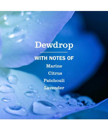 Mrs. MEYER'S CLEAN DAY Liquid Hand Soap, Dewdrop Scent, 12.5 Ounce Bottle 12.5 Fl Oz (Pack of 1) - Buy Online on GoSupps.com