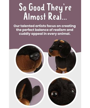 Living Nature Dachshund Eco-Friendly Plush Toy - Realistic Soft Cuddly Dog (28cm) - Buy Online on GoSupps.com