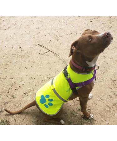 SafetyPUP XD Dog Safety Vest - Dog Sizes 10kg to 59kg | X-Small & Neon Yellow Available - Ultimate Safety for Your Pet - Buy Online on GoSupps.com