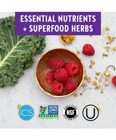 New Chapter 40+ Women's One Daily Multivitamin - 96 Vegetarian Tablets for Whole-Food Nutrition - Buy Online on GoSupps.com