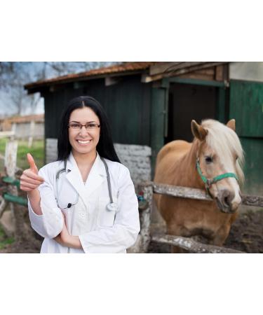 Equine Synergy High Potency Spirulina 500g For Horses and Ponies -100% Pure with Over 2000 Vitamins Minerals and Nutrients to Enhance Health and Bolster the Immune System - Buy Online on GoSupps.com