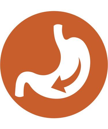 FRISKIES Cat - Adult - Chicken and Vegetables - 4kg - Pack of 4 - Buy Online on GoSupps.com