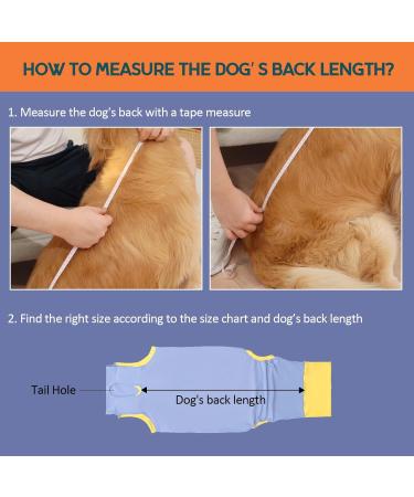 Avont Dogebody Post-Op Recovery Suit for Neutered Males & Females | Wound Protection Clothing (2XL Blue) - Buy Online on GoSupps.com