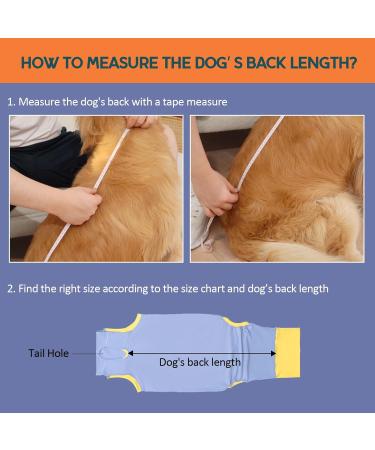 Avont Dog Recovery Suit - Postoperative Wound Protection for Neutered Males & Bitches - Blue (3XS) - Prevents Leak & Ensures Comfort - Buy Online on GoSupps.com
