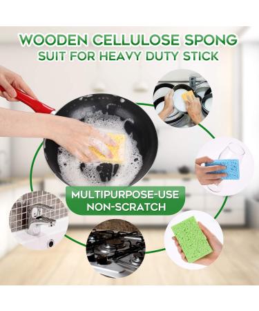 Biodegradable Colored Kitchen Sponge 16-Pack - Non-Scratch Cellulose Dishwashing Sponge - Natural Cleaning Scrub - 16 Count - Buy Online on GoSupps.com