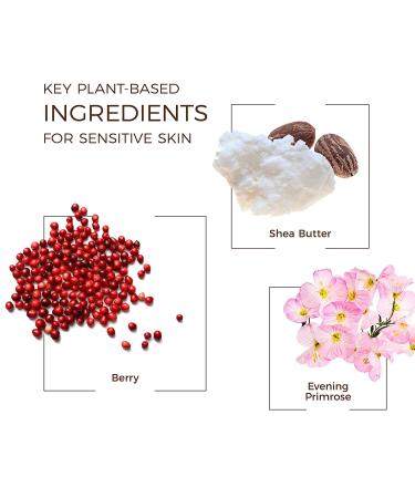 Babo Botanicals Smoothing Detangling Spray - Natural Berry & Primrose Oil for All Hair Types - 8 oz - Buy Online on GoSupps.com