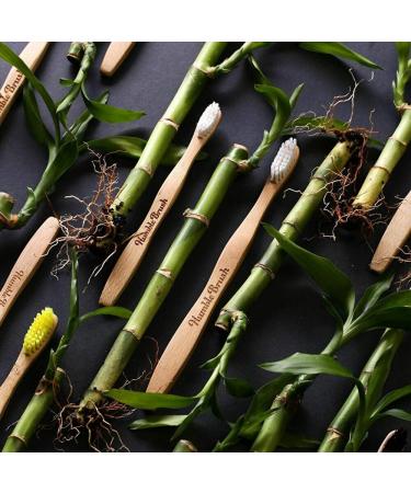Buy Humble Brush Bamboo Toothbrush - Eco-Friendly & Sustainable Oral Care | International Shipping Available - Buy Online on GoSupps.com