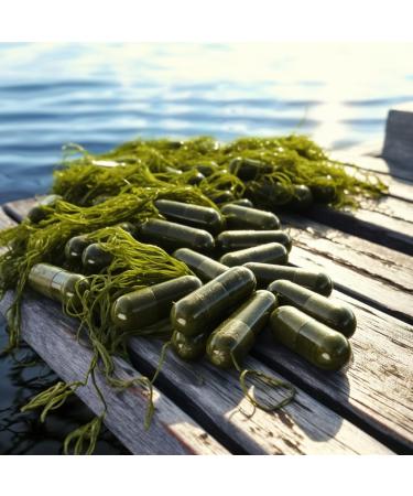 Chlorella by Nutritionn - Source of Antioxidants - 1000 mg Once Daily 500 mg Capsules - Premium 100% Pure and Natural Nutrient Supplement - Buy Online on GoSupps.com