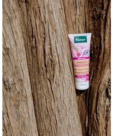 Kneipp Intensive Hand Cream - Extra Rich Shea Butter & Magnolia - 75ml (Pack of 2) | Shop Now for International Shipping - Buy Online on GoSupps.com