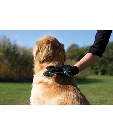 Buy Trixie Grooming Gloves 16x24 cm - Black/Turquoise | International Shipping Available - Buy Online on GoSupps.com