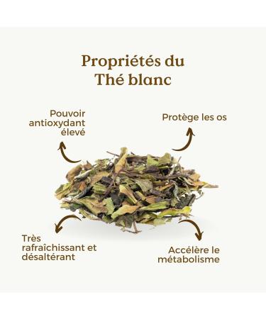 TH BLANC BIO 100g (50 Tasses) | Bai Mu Dan Th Blanc | White Peony Tea REPLANTEA - Buy Online on GoSupps.com
