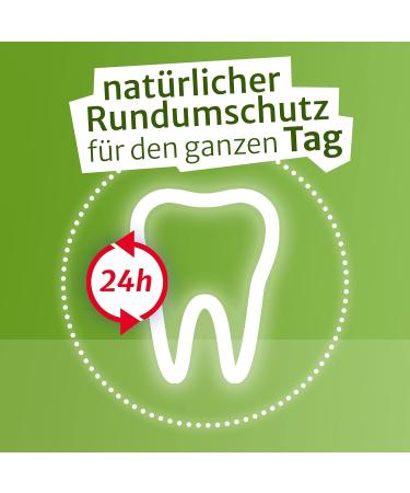 Buy Vegan Mouthwash Double Pack 500ml - Alcohol-Free with Organic Mint & Aloe Vera + Free Bamboo Toothbrush | Natural Oral Care - Buy Online on GoSupps.com