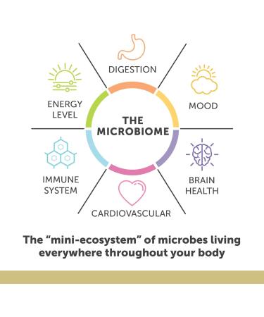 Enzymedica Aqua Biome Maximum Strength Omega 3 Fish Oil, 60 Softgels 60 Count (Pack of 1) - Buy Online on GoSupps.com