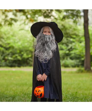 UILYNIU Wizard Wig and Long Beard Men's Long Curly Grey Wig Cosplay Wizard Sorcerer Prophet Wig for Carnival Halloween Christmas Costume Wigs Old Men Cosplay Wig Adult Fancy Dress Party Wig (Grey) - Buy Online on GoSupps.com