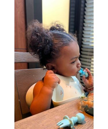 Happy Baby Silicone Feeder Set with Plate, Lid, Cup, Bib, Pacifier, and Teether - Dusty Rose - Buy Online on GoSupps.com