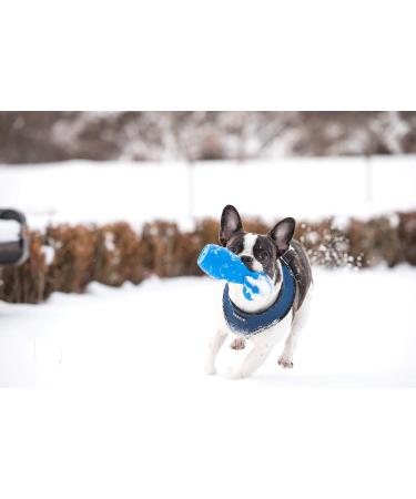 Puppia Dog Harness for Small & Medium Dogs - Super Soft Many Colors Also Doubles as Puppy Dish - Atani Train Harness in Royal Blue - Buy Online on GoSupps.com