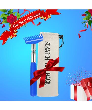 Extendable Metal Back Scratcher with Carrying Bag in Blue - Buy Online on GoSupps.com