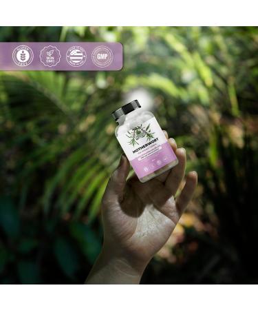 Amazing Botanicals Motherwort 10X Extract Tablets 2,000 mg - High Potency Herbal Supplement for Wellness and Vitality - 30 Tablets - Buy Online on GoSupps.com