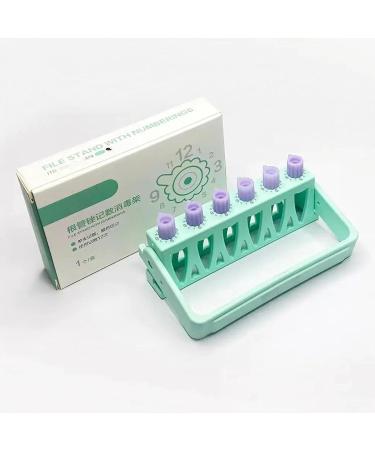 Autoclavable Endo Files Holder Dispenser 6 Holes Endo Files Holder for Endodontic Files Organizer Endo Box.-Green - Buy Online on GoSupps.com