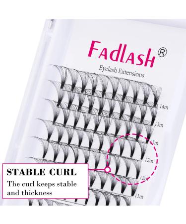 16D Russian Volume Eyelashes C Curl 0.07mm | 8-14mm Mixed Lengths | Premium Eyelash Extensions - 1 Piece Pack - Buy Online on GoSupps.com